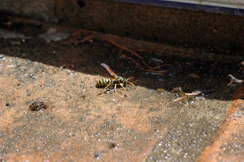 Taking time out to drink