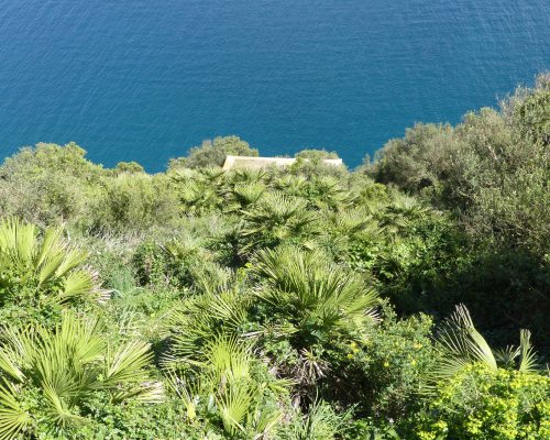 170322-GIBMS115-1424-Looking down onto concrete building