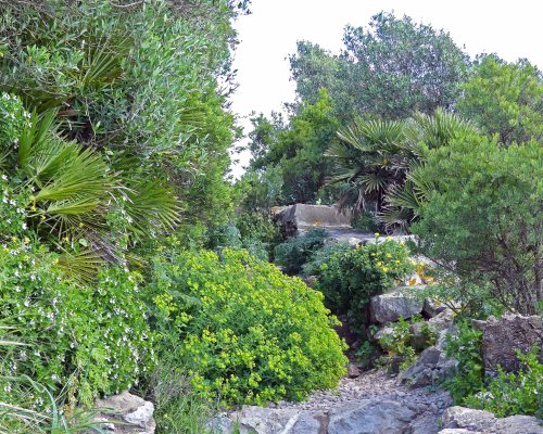 170322-GIBMS31-1203-Med Steps cliff path