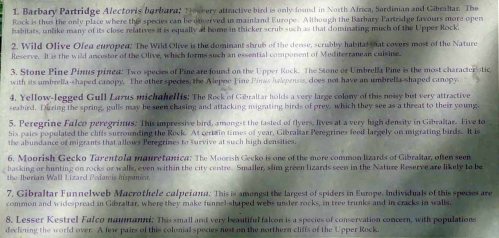 170322-GIBMS70-1243-Upper Rock wildlife info board-birds