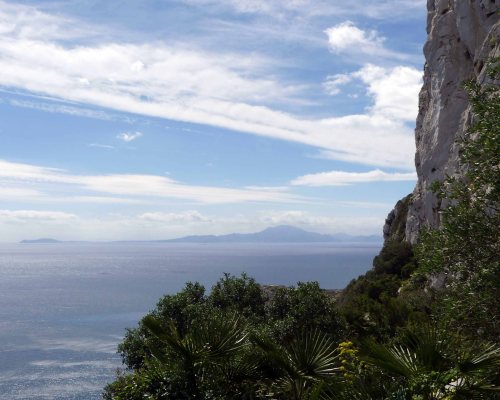 170322-GIBMS72-1252-Looking back