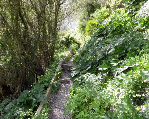 170322-GIBMS93-1353-Path up to caves